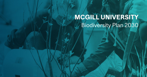 Two students plant a tree sapling with a dark teal gradient overlaid and the words "McGill University Biodiversity Plan 2030"